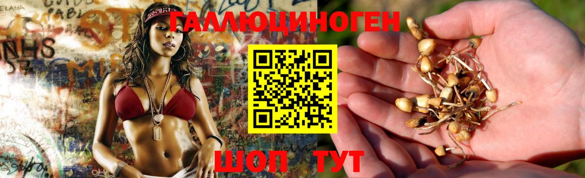 закладки  Галлюциногенные грибы GOLDEN TEACHER  Кумертау  Вход с VPN  Псилоцибиновые грибы Magic Shrooms 
